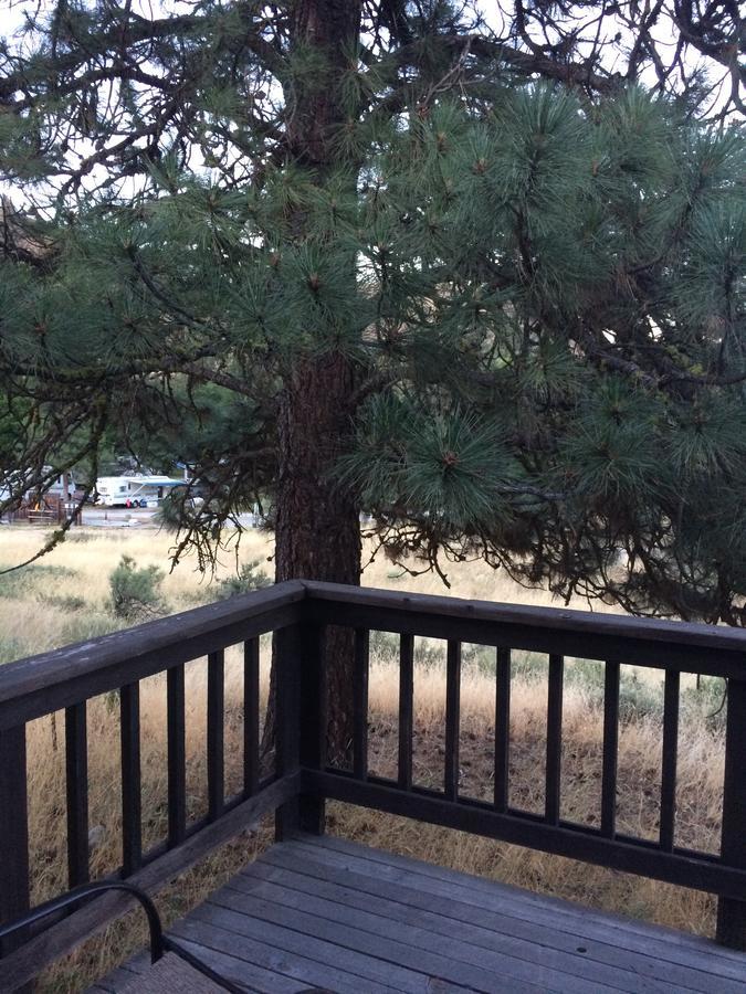 Winthrop Mountain View Chalets Bagian luar foto