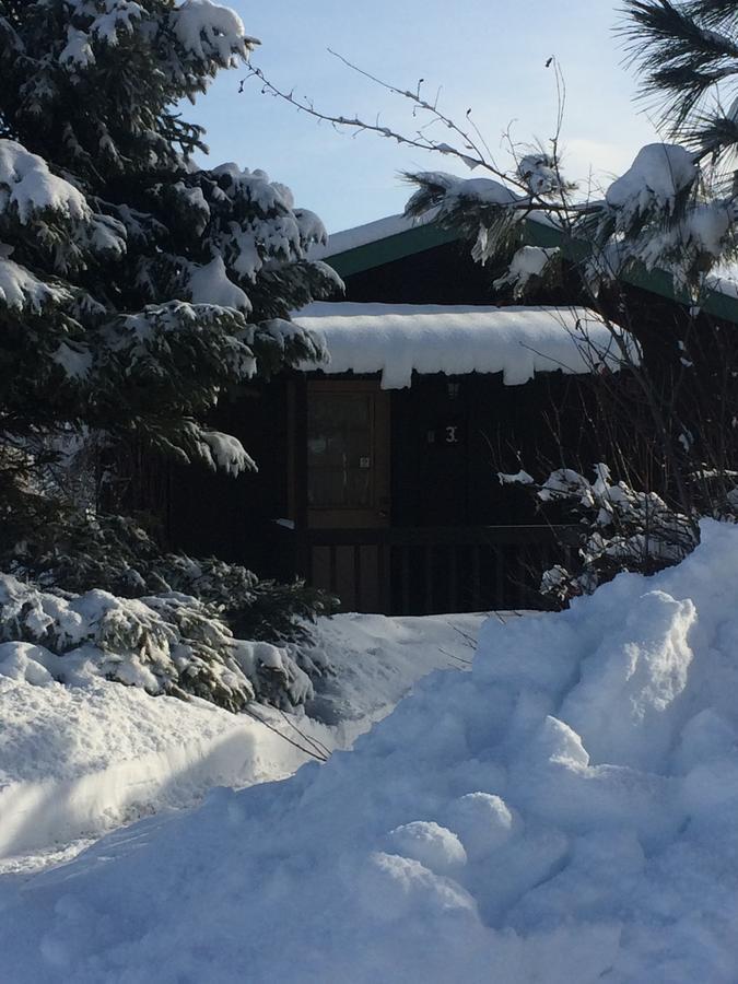 Winthrop Mountain View Chalets Bagian luar foto
